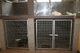 CAGE DE REPOS 001